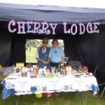 Borehamwood Families Day 2017